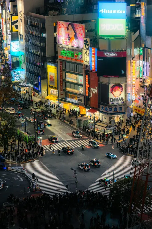 Robyn.Tokyo Premium Domain